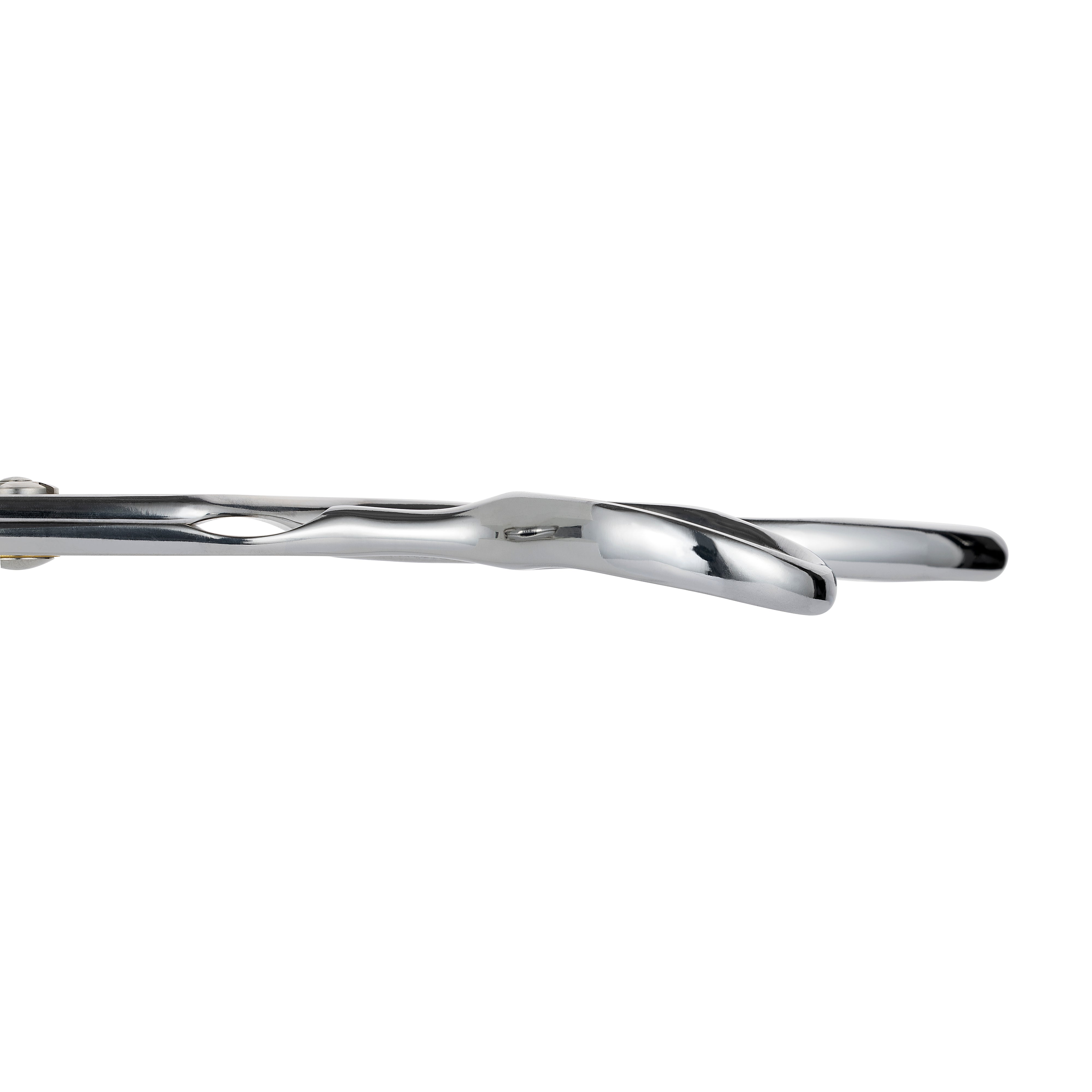 Matsui x 4B x O.P. Essential Cutting Scissor